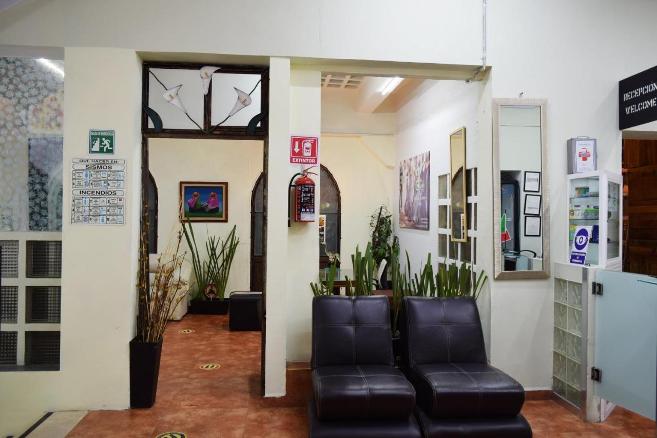 Hostel Plaza Mayor 墨西哥城 外观 照片